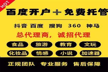 搜索引擎竞价推广实战：行业领先企业的成功秘诀